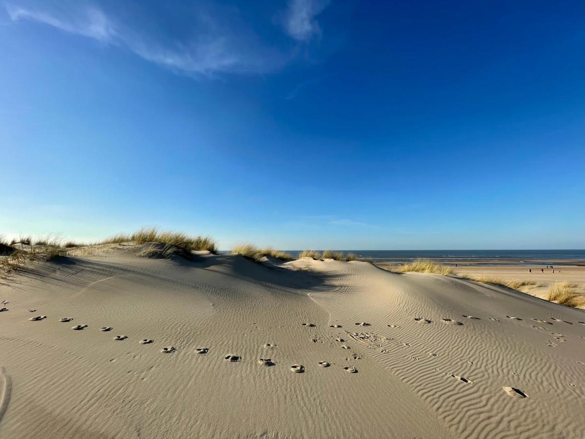 Aloha-olmenduin * Serooskerke (Walcheren)