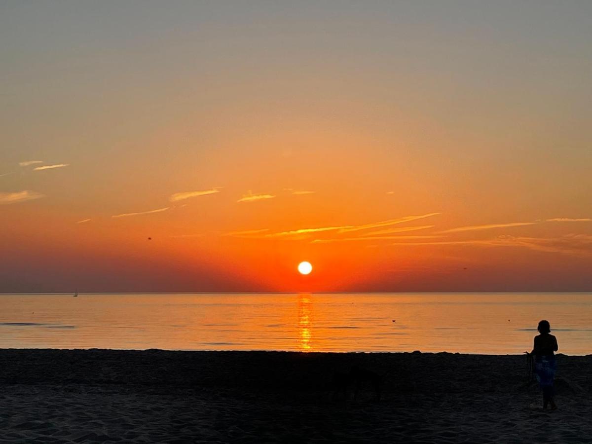 Aloha-olmenduin Serooskerke (Walcheren)